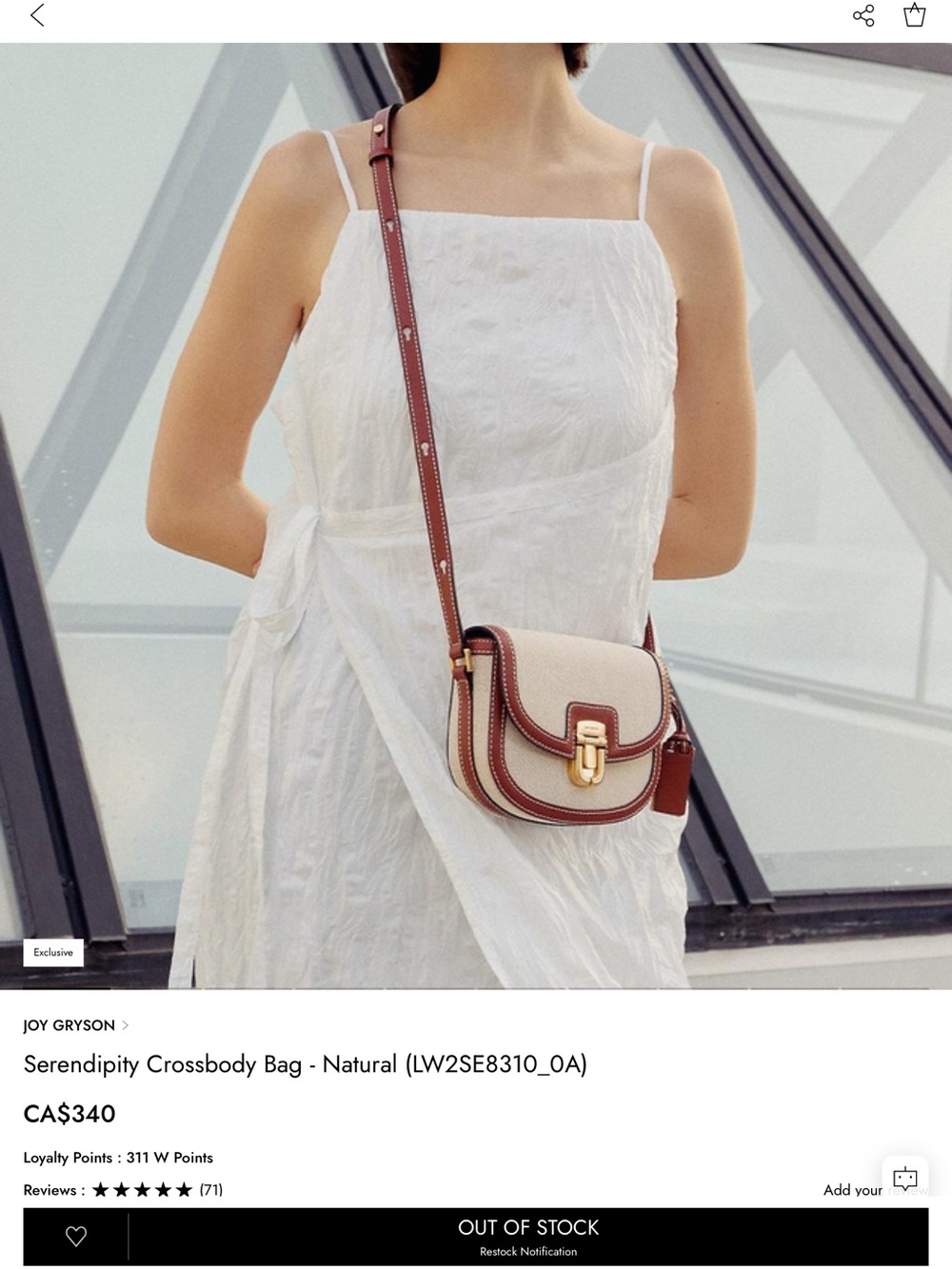 Joy Gryson Serendipity Crossbody Bag in Natural and Brown